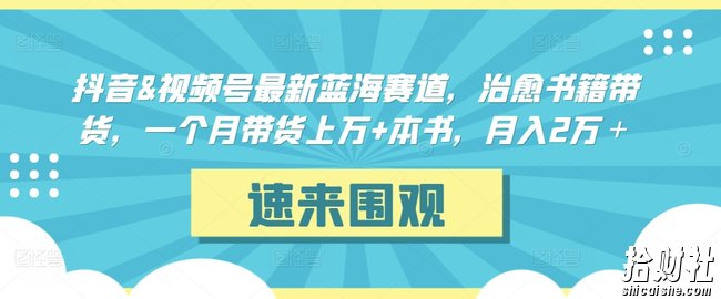 抖音&视频号最新蓝海赛道,治愈书籍带货,一个月带货上万+本书,月入2万+【揭秘】