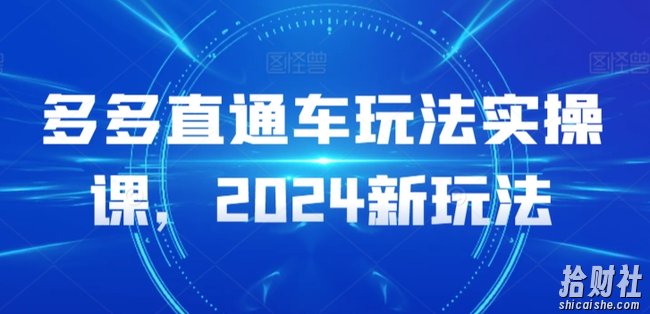 多多直通车玩法实操课,2024新玩法