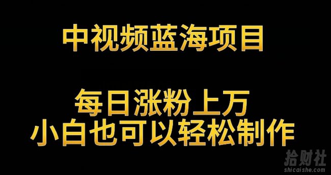 中视频蓝海项目,解读英雄人物生平,每日涨粉上万,小白也可以轻松制作,月入过万不是梦【揭秘】