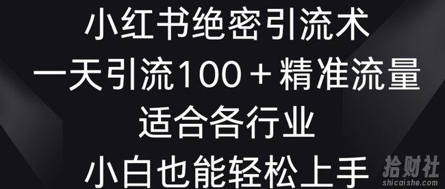 小红书绝密引流术,一天引流100+精准流量,适合各个行业,小白也能轻松上手【揭秘】