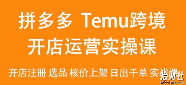 2024Temu最新玩法,Temu跨境开店运营实操课,开店注册/选品/核价上架/日出千单实战课