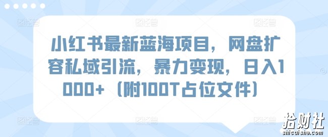 小红书最新蓝海项目,网盘扩容私域引流,暴力变现,日入1000+(附100T占位文件)【揭秘】