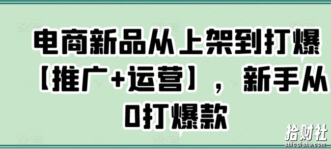 电商新品从上架到打爆【推广+运营】,新手从0打爆款