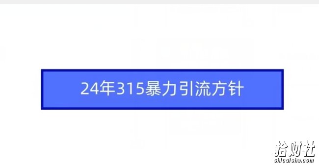24年315暴力引流方针