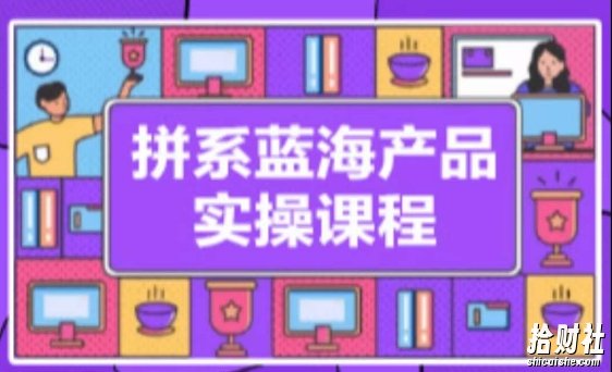 拼系冷门蓝海产品实操课程,从注册店铺到选品上架到流量维护环环相扣