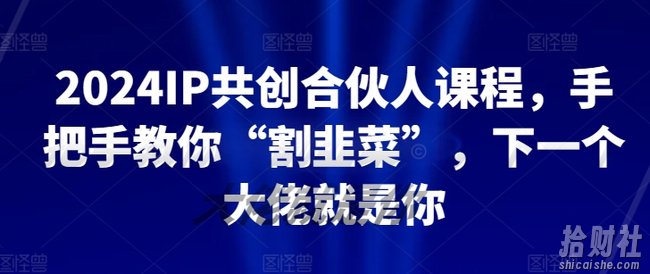 2024IP共创合伙人课程,手把手教你“割韭菜”,下一个大佬就是你