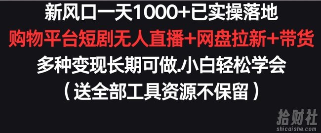 新风口一天1000+已实操落地购物平台短剧无人直播+网盘拉新+带货多种变现长期可做【揭秘】