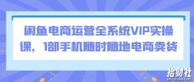 闲鱼电商运营全系统VIP实操课，1部手机随时随地电商卖货