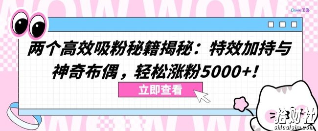 两个高效吸粉秘籍揭秘：特效加持与神奇布偶，轻松涨粉5000+【揭秘】