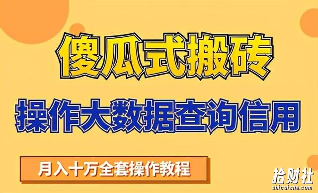 搬砖操作大数据查询信用项目賺米教程，祝你快速月入6万