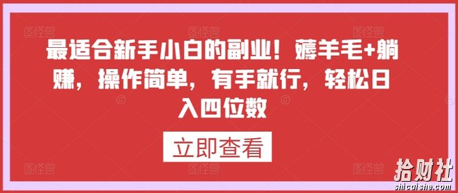 最适合新手小白的副业!薅羊毛+躺赚,操作简单,有手就行,轻松日入四位数【揭秘】