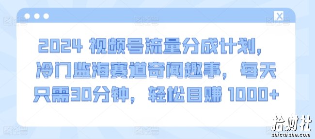 2024视频号流量分成计划，冷门监海赛道奇闻趣事，每天只需30分钟，轻松目赚 1000+【揭秘】