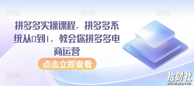 拼多多实操课程,拼多多系统从0到1,教会你拼多多电商运营