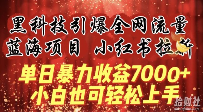 蓝海项目!黑科技引爆全网流量小红书拉新,单日暴力收益7000+,小白也能轻松上手【揭秘】