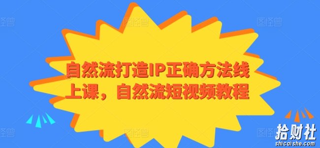 自然流打造IP正确方法线上课,自然流短视频教程