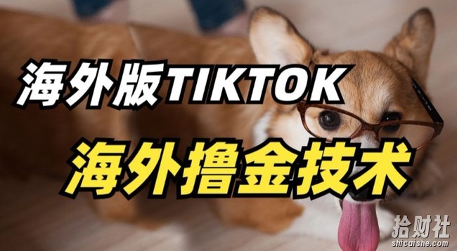抖音海外版tiktok撸金技术，这个风口行业，賺米真的不难【揭秘】