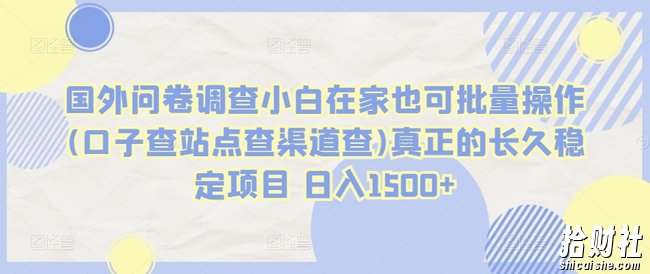 国外问卷调查小白在家也可批量操作(口子查站点查渠道查)真正的长久稳定项目 日入1500+【揭秘】