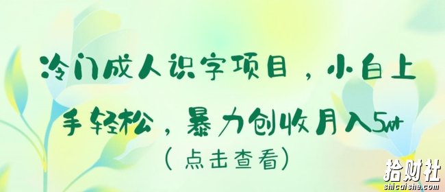 冷门成人识字项目,小白上手轻松,暴力创收月入5w+【揭秘】
