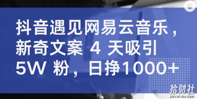抖音遇见网易云音乐,新奇文案 4 天吸引 5W 粉,日挣1000+【揭秘】