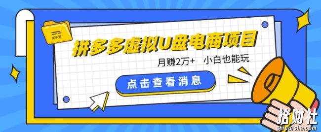 拼多多虚拟U盘电商红利项目:月赚2万+,新手小白也能玩