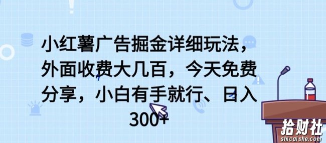 小红薯广告掘金详细玩法，外面收费大几百，小白有手就行，日入300+【揭秘】