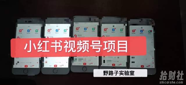 野路子小红书视频号1.0项目,直接上手操作就能賺米的视频号项目
