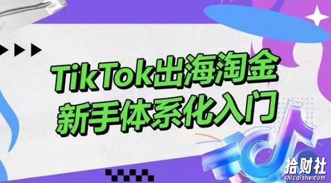 TikTok出海淘金,新手体系化入门,零基础快速入门,掌握短视频、直播带货等引流到变现的知识