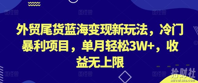 外贸尾货蓝海变现新玩法,冷门暴利项目,单月轻松3W+,收益无上限【揭秘】