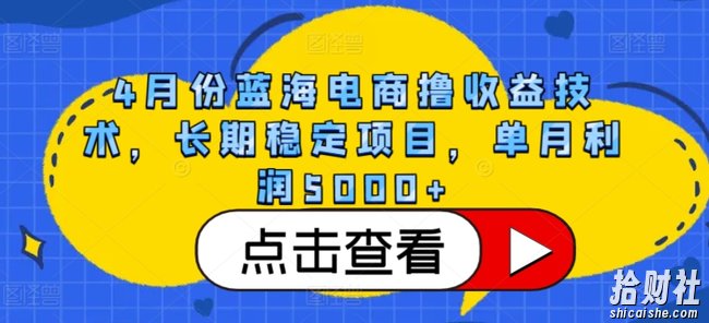 4月份蓝海电商撸收益技术，长期稳定项目，单月利润5000+【揭秘】