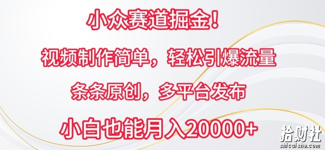 小众赛道掘金,视频制作简单,轻松引爆流量,条条原创,多平台发布【揭秘】