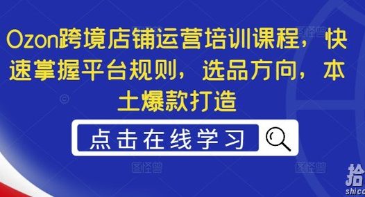 Ozon跨境店铺运营培训课程,快速掌握平台规则,选品方向,本土爆款打造