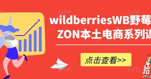wildberriesWB野莓/OZON本土电商系列课,掌握WB产品优化,出单技巧和订单处理等