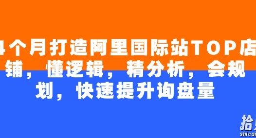 4个月打造阿里国际站TOP店铺，懂逻辑，精分析，会规划，快速提升询盘量