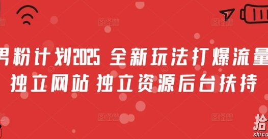 男粉计划2025 全新玩法打爆流量 独立网站 独立资源后台扶持【揭秘】