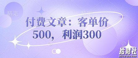 付费文章：客单价500，利润300