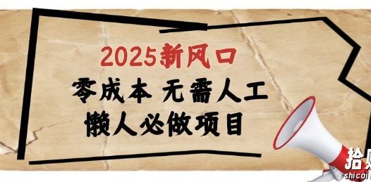 2025新风口，懒人必做项目，浏览器全自动掘金【揭秘】