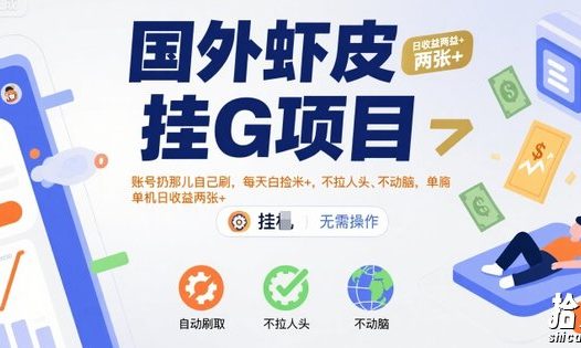 国外虾皮挂G项目:账号扔那儿自己刷,每天白捡米+,不拉人头、不动脑,单机日收益两张+【揭秘】