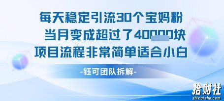每天稳定引流30个人 当月变成超过了4个W项目流程非常简单适合小白