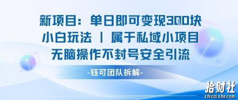 新项目单日即可变现3张的小白玩法无脑操作不封号安全引流