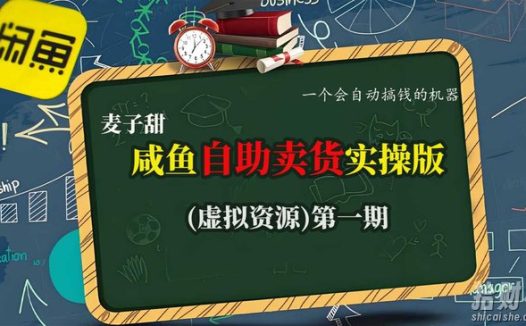 麦子甜咸鱼自助卖货实操版（虚拟资源）一个会自动搞钱的机器