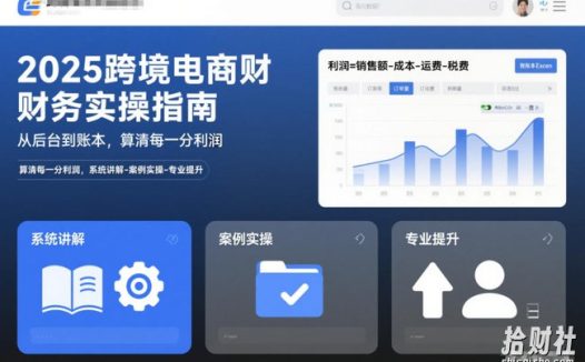 2025跨境电商财务实操指南,从后台到账本,算清每一分利润,系统讲解-案例实操-专业提升