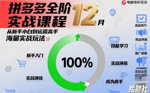 拼多多全阶实战课程12月,从新手小白到运营高手,海量实战玩法