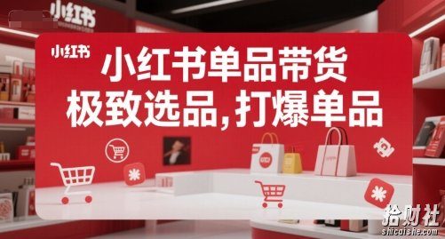 小红书单品带货,极致选品,打爆单品(更新)
