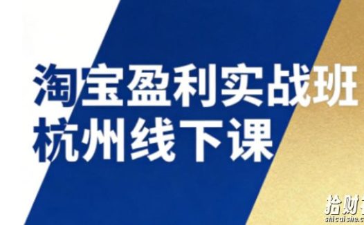 淘宝盈利实战班杭州线下课12月26-28日（音频+字幕），帮你掌握SOP流程+12门核心技术