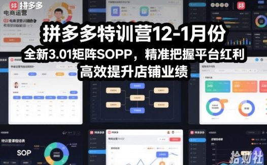 拼多多特训营12-1月份,全新3.01矩阵Sop,精准把握平台红利,高效提升店铺业绩