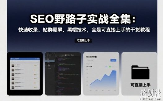 SEO野路子实战全集:快速收录、站群霸屏、黑帽技术,全是可直接上手的干货教程