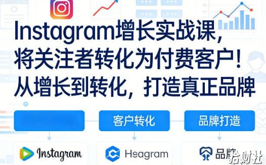 Instagram增长实战课,将关注者转化为付费客户!从增长到转化,打造真正品牌(双语字幕)