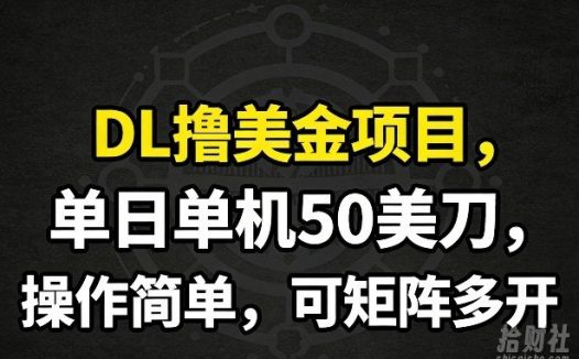 DL撸美金项目,单日单机50美刀,操作简单,可矩阵多开