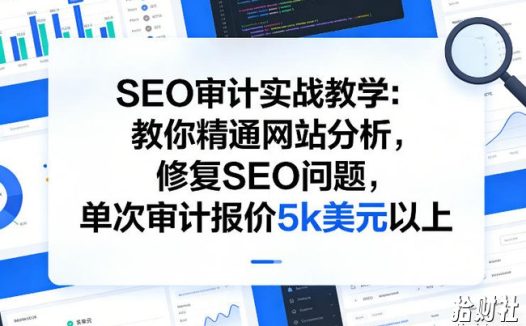 SEO审计实战教学:教你精通网站分析,修复SEO问题,单次审计报价5k美元以上