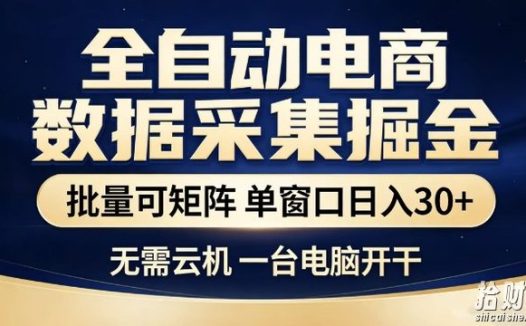 全自动电商数据集掘金,批量可矩阵,单窗口日入30+,无需云机,一台电脑开干【揭秘】